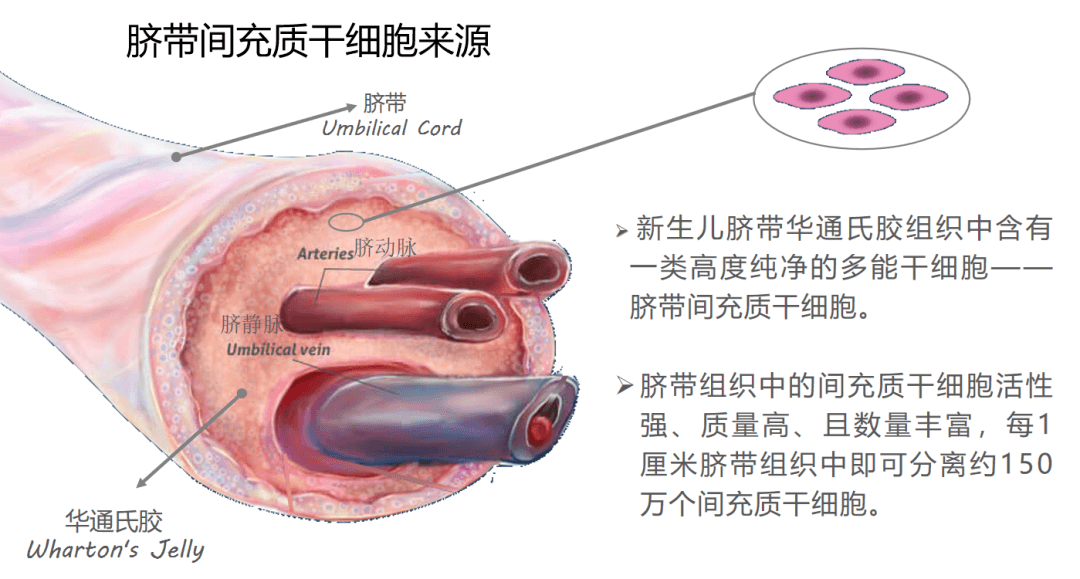 微信圖片_20231230150453.png