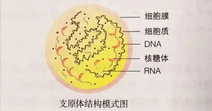 微信圖片_20240103151602.jpg