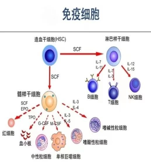 微信圖片_20240104154918.jpg